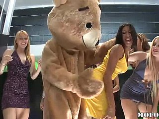 Niedźwiedź tańca pieprzy Latina Kayla Carrera w Hot Bachelorette Troop